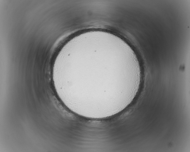 X0000113961172200910232022