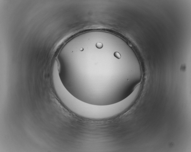 X0000113961173200910232022