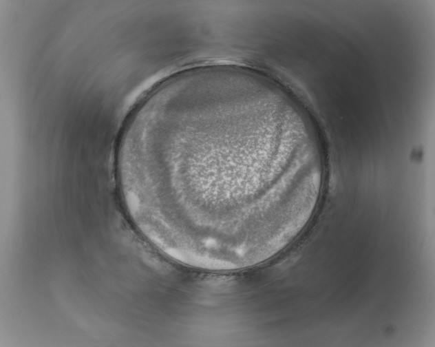 X0000113961174200910232022