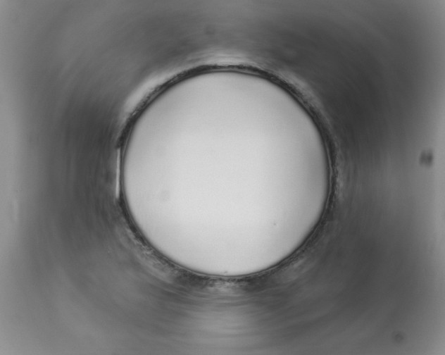 X0000113961175200910232022