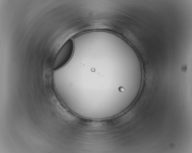 X0000113961177200910232022