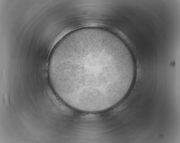 X0000113961178200910232022