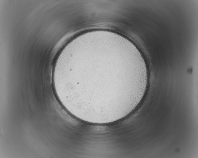 X0000113961180200910232022