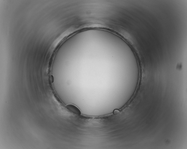 X0000113961181200910232022