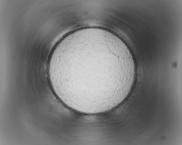 X0000113961182200910232022