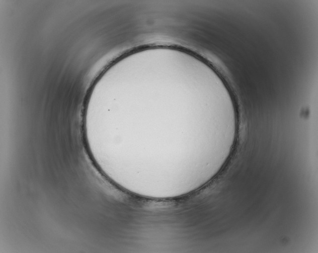 X0000113961183200910232022