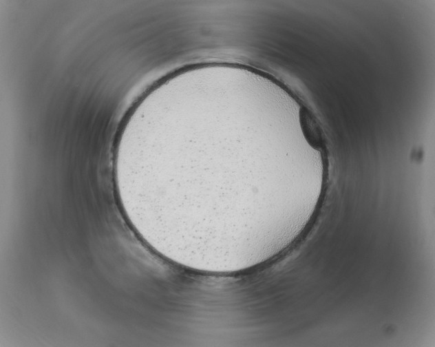 X0000113961184200910232022