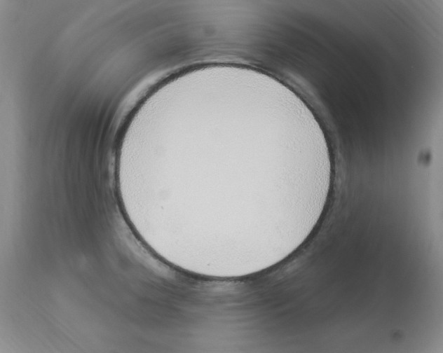 X0000113961188200910232022