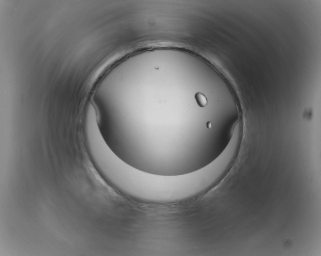 X0000113961189200910232022