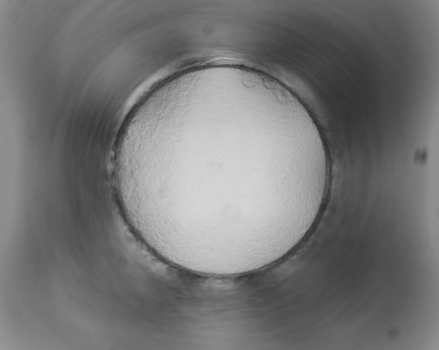 X0000113961190200910232022