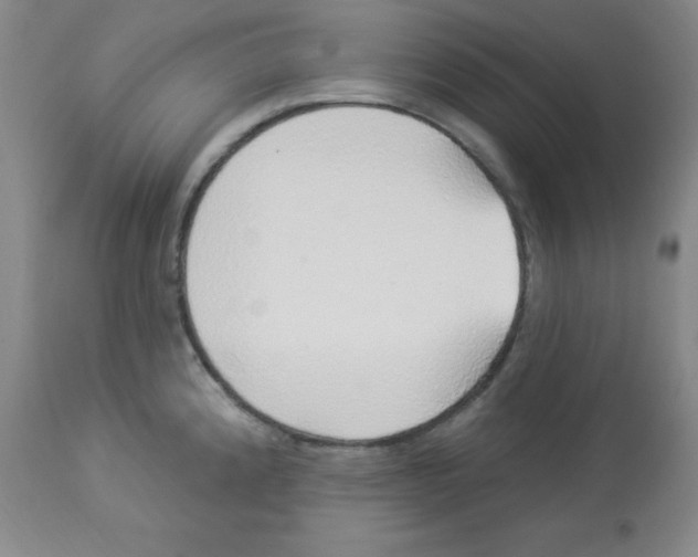 X0000113961192200910232022