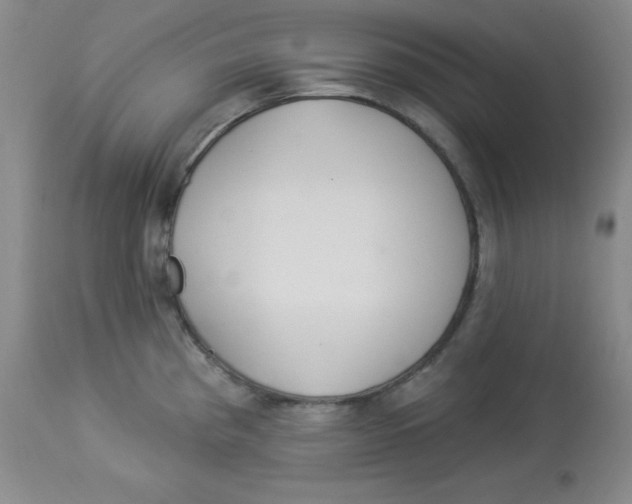 X0000113961193200910232022