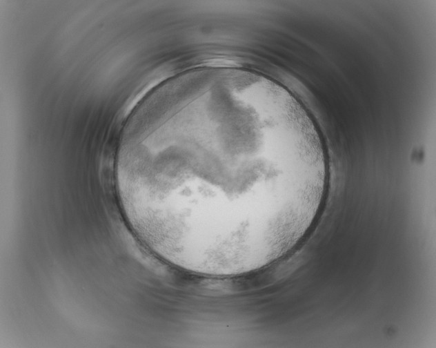 X0000113961194200910232022