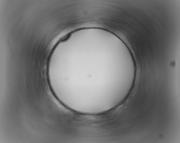 X0000113961197200910232022