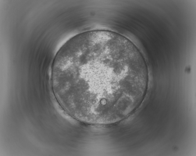 X0000113961198200910232022