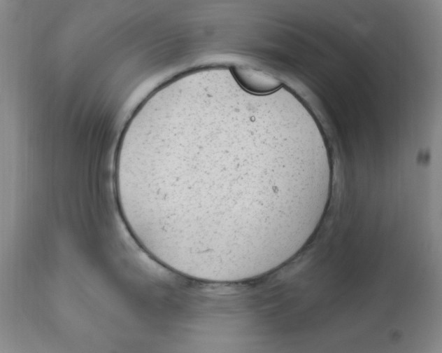 X0000113961199200910232022