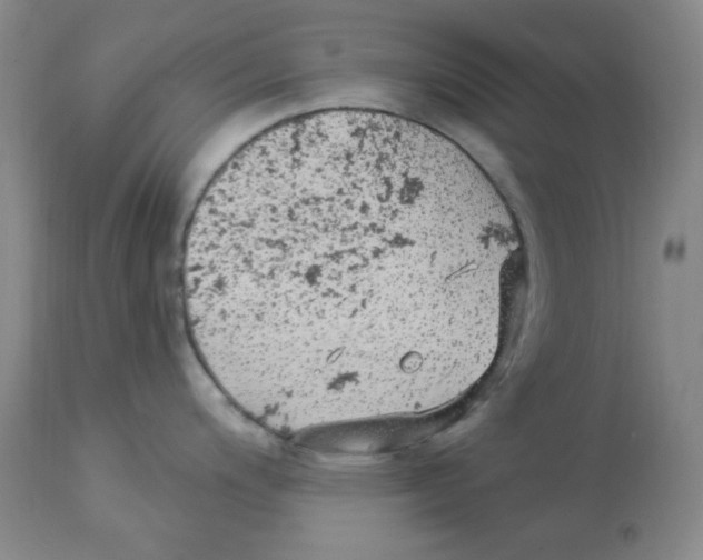 X0000113961200200910232022