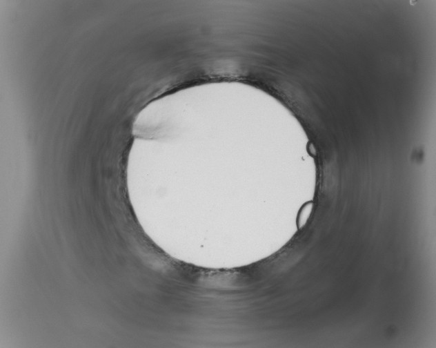 X0000113961201200910232021