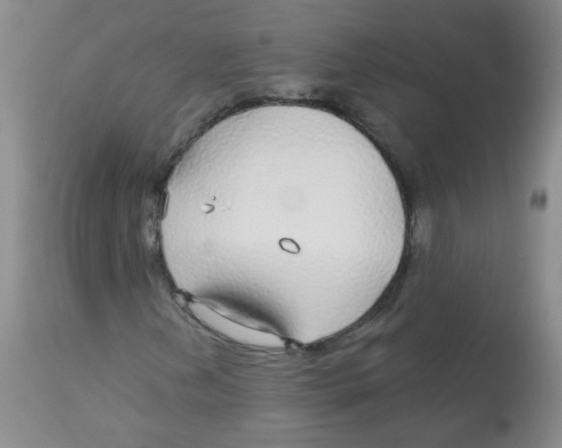 X0000113961202200910232021