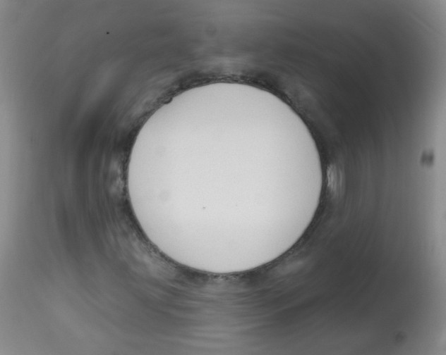 X0000113961203200910232021