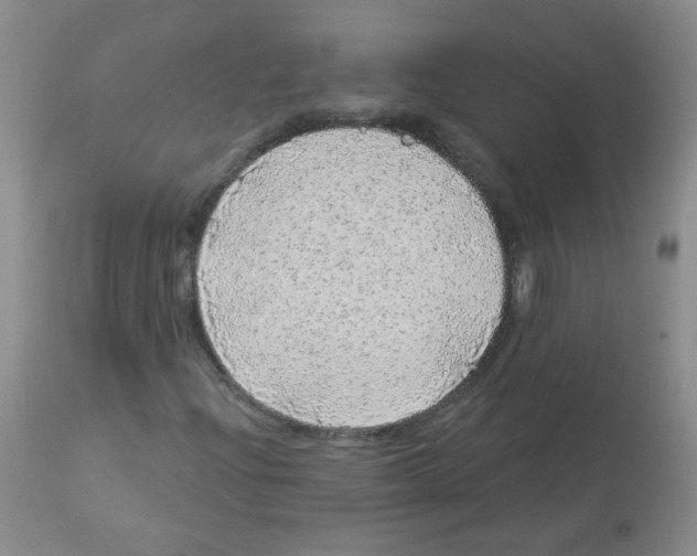 X0000113961204200910232021