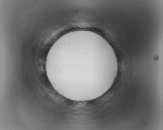 X0000113961205200910232021