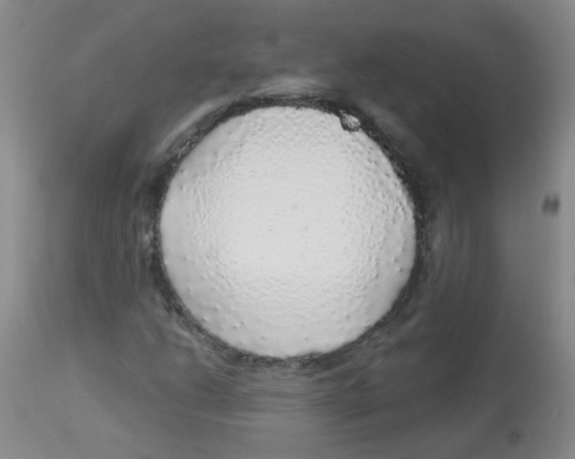 X0000113961206200910232021