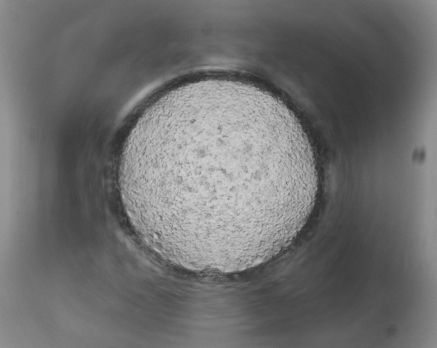 X0000113961208200910232021