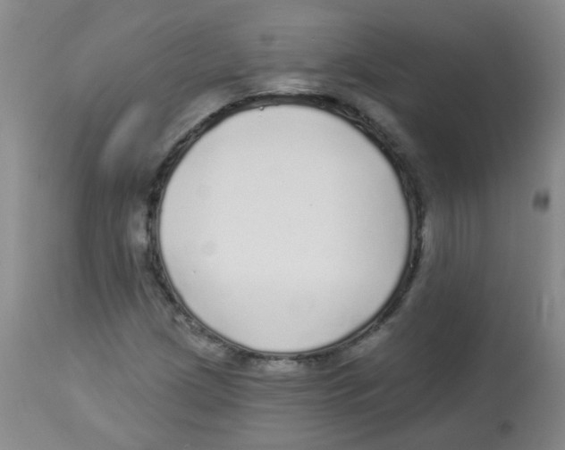 X0000113961209200910232021