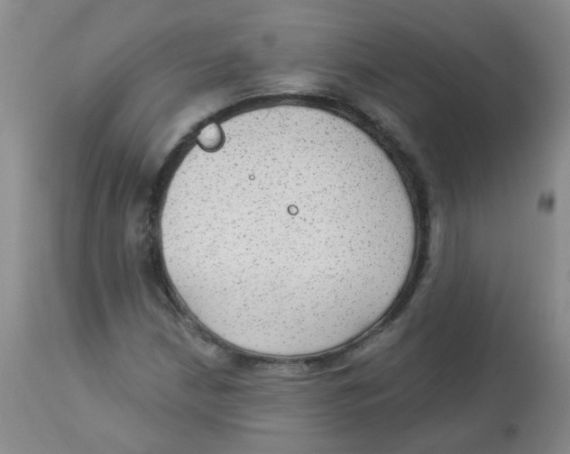 X0000113961210200910232021