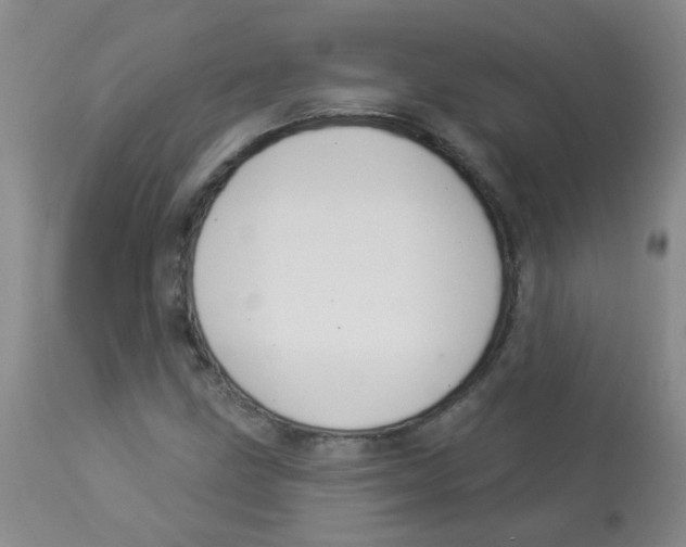 X0000113961211200910232021