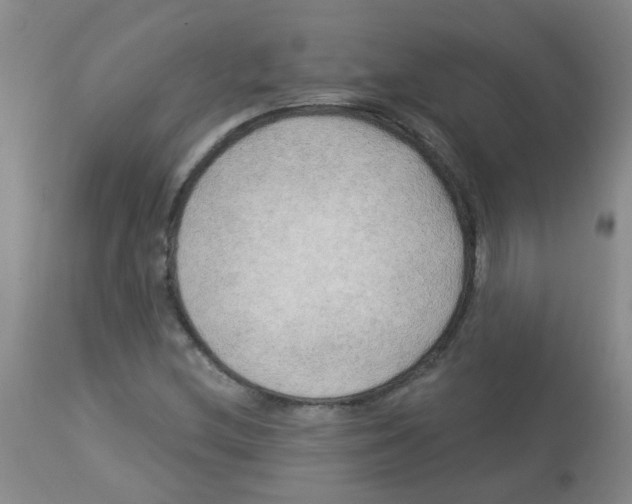 X0000113961212200910232021