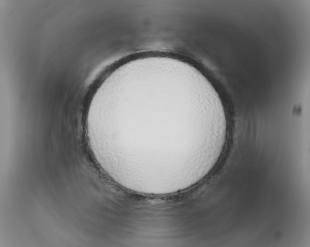 X0000113961214200910232021