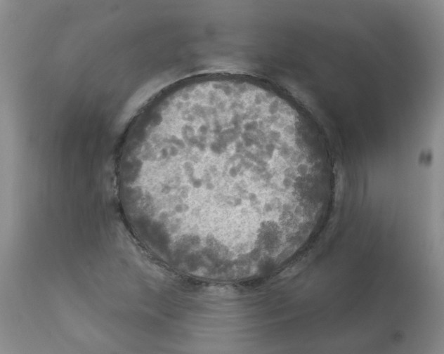 X0000113961215200910232021