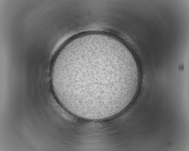 X0000113961216200910232021