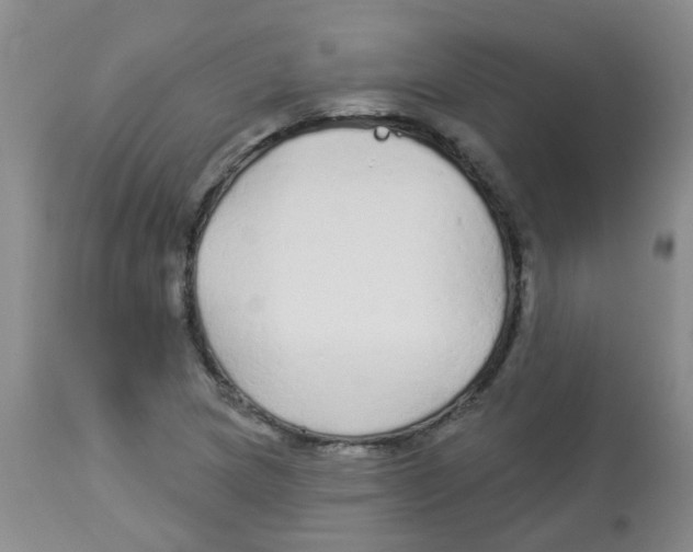 X0000113961217200910232021