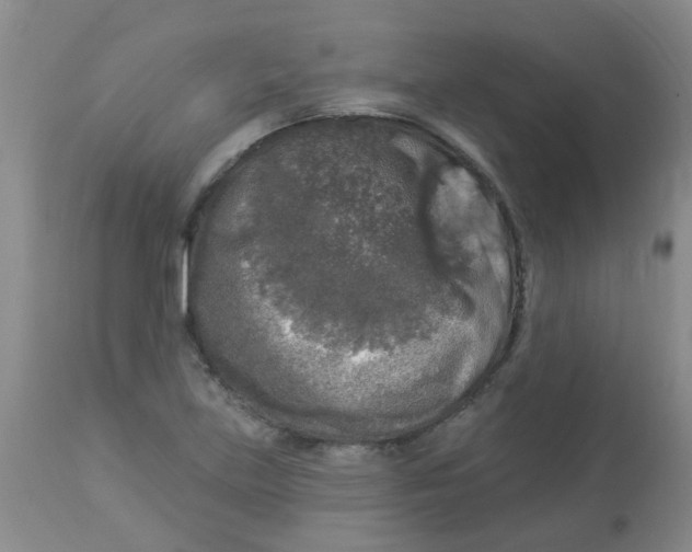 X0000113961219200910232021