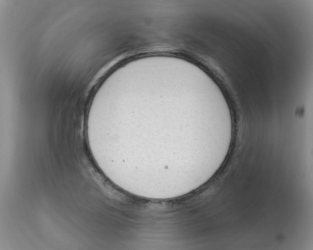 X0000113961220200910232021