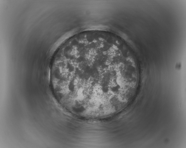 X0000113961221200910232021