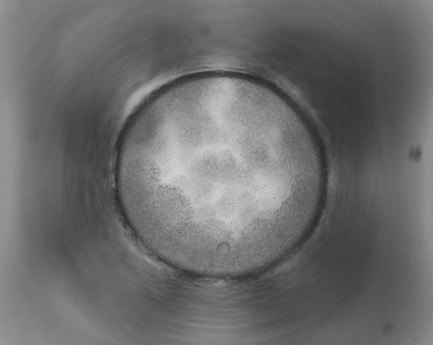 X0000113961222200910232021