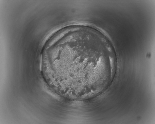 X0000113961223200910232021