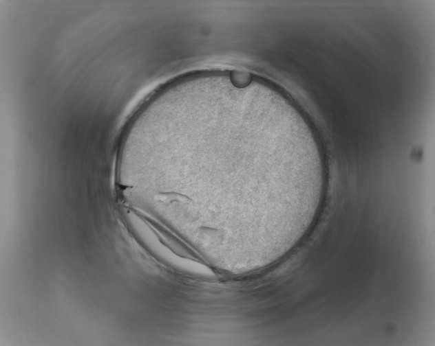 X0000113961224200910232021