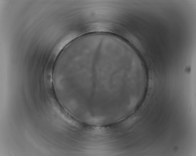 X0000113961226200910232021