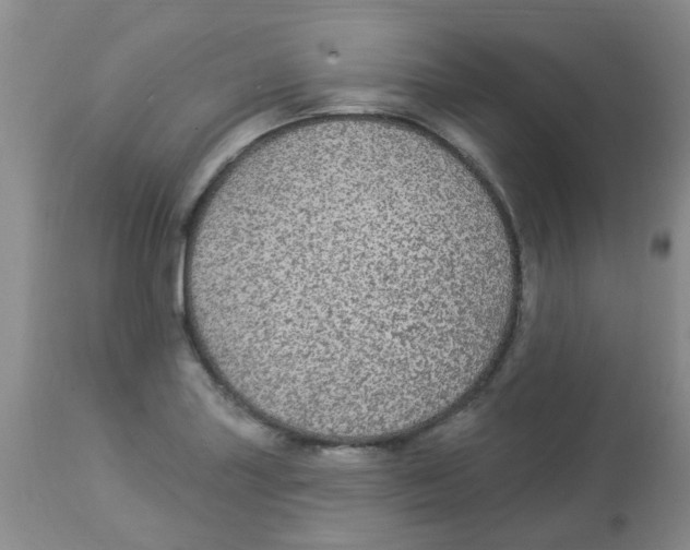 X0000113961227200910232021