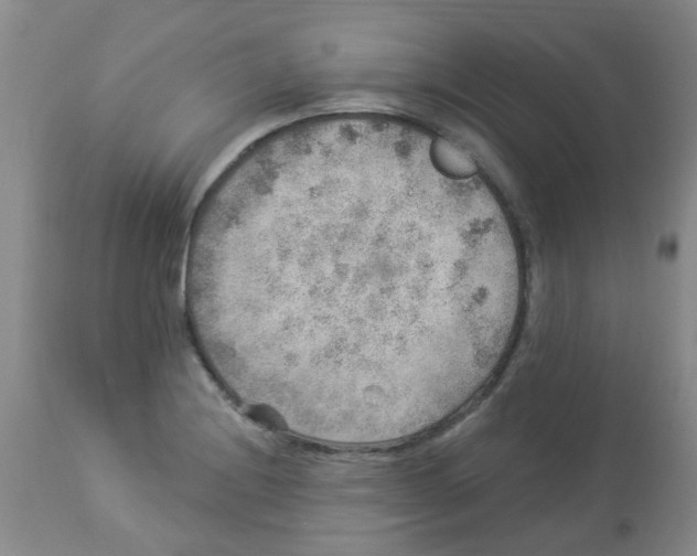 X0000113961228200910232022