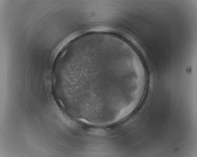 X0000113961229200910232022