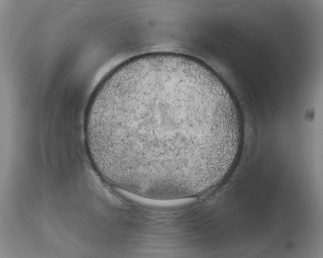 X0000113961230200910232022