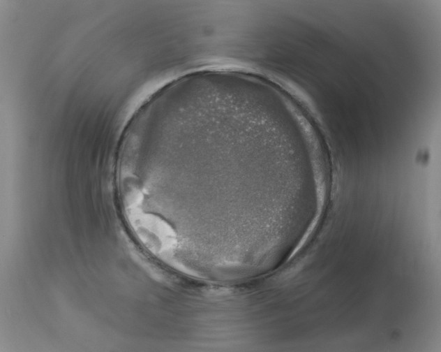 X0000113961231200910232022