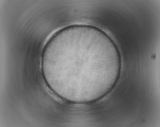 X0000113961232200910232022