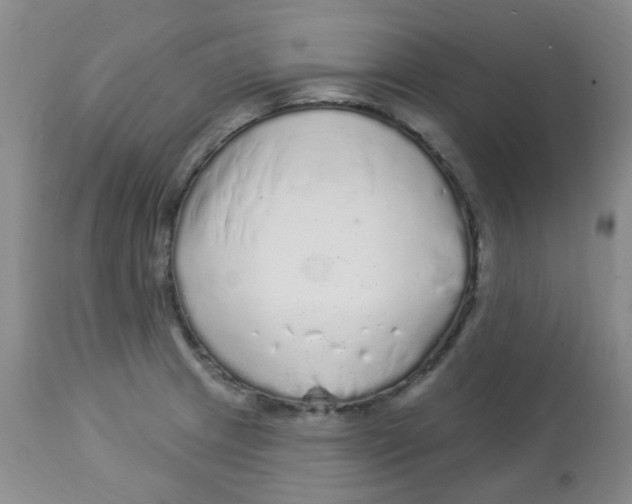 X0000113961233200910232022